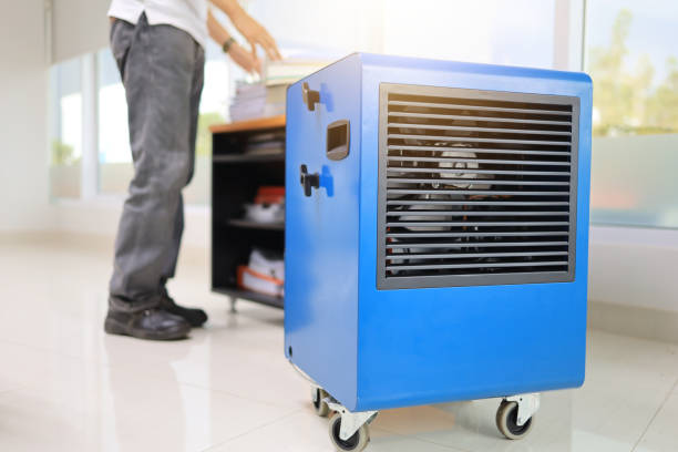Best Black Mold Removal  in Glenolden, PA