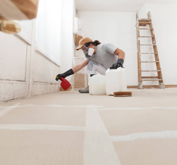 Best Biohazard Mold Removal  in Glenolden, PA