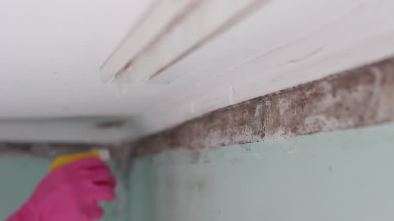 Best Residential Mold Inspection & Testing  in Glenolden, PA